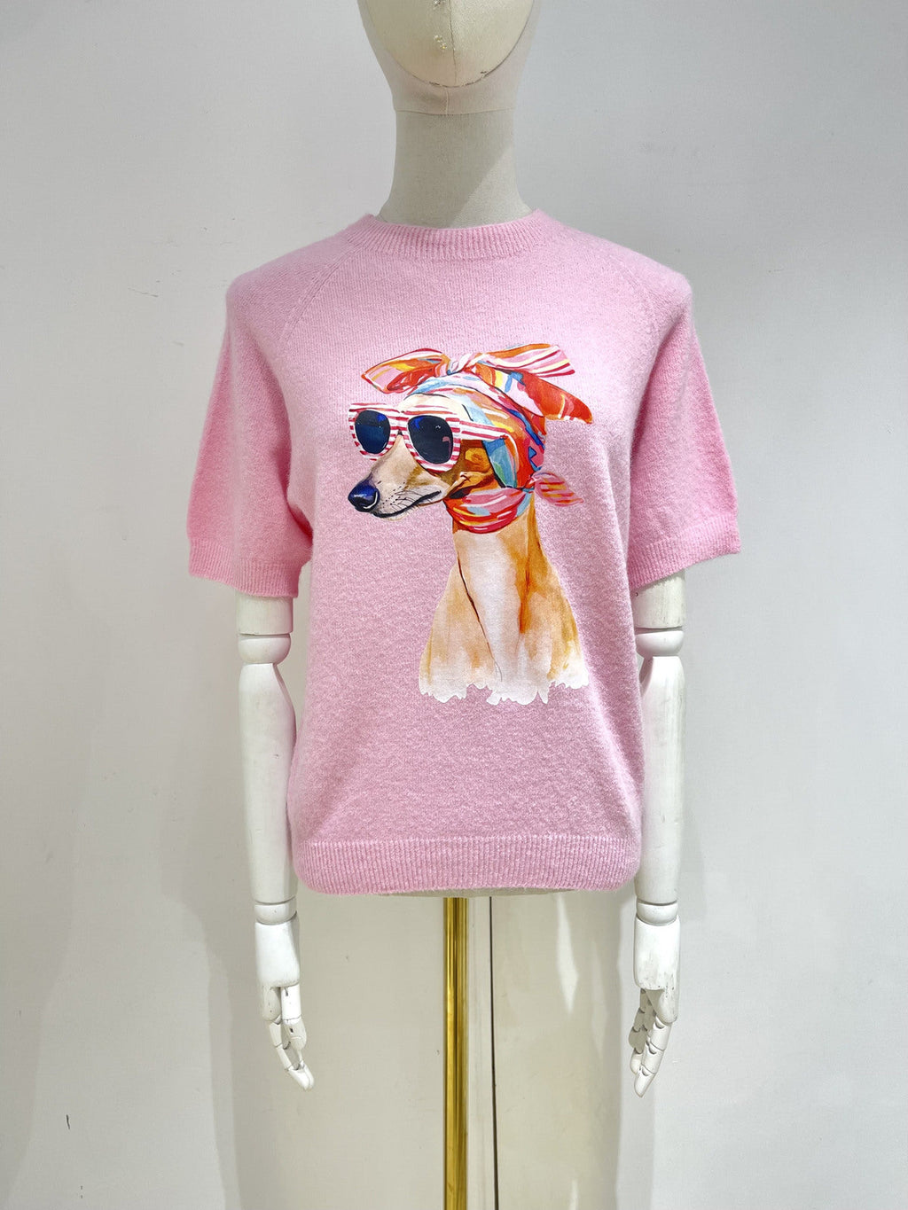 Pull maille rose imprimé chien - photo produit mannequin