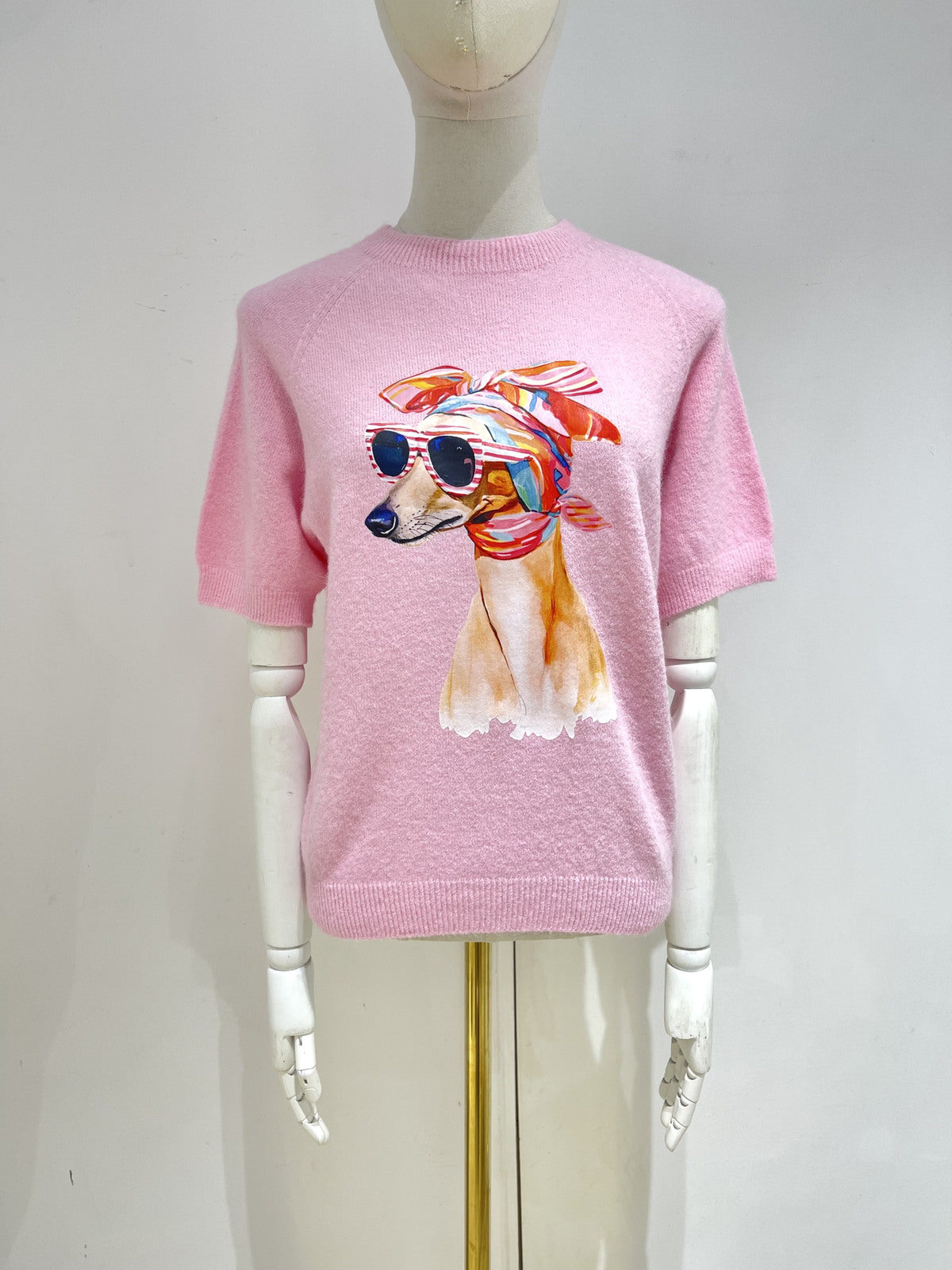 Pull maille rose imprimé chien - photo produit mannequin